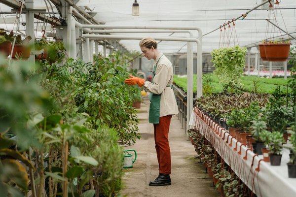 How can a UK-based plant nursery ensure compliance with pesticide use and environmental protection regulations?